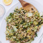 Charred Brussels Sprout Salad with Miso Mustard Dressing