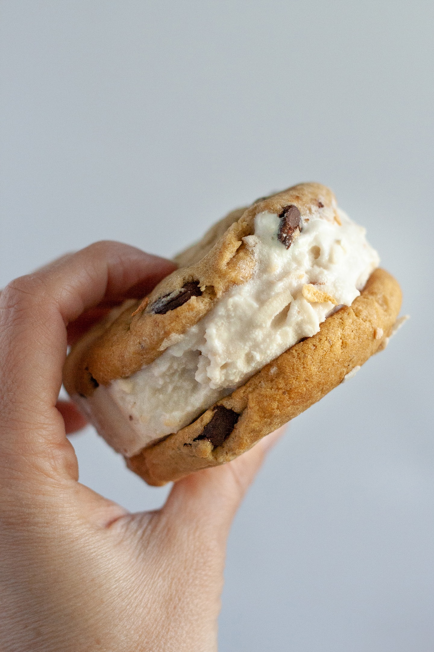 Toasted Coconut Ice Cream sandwich from Well Vegan