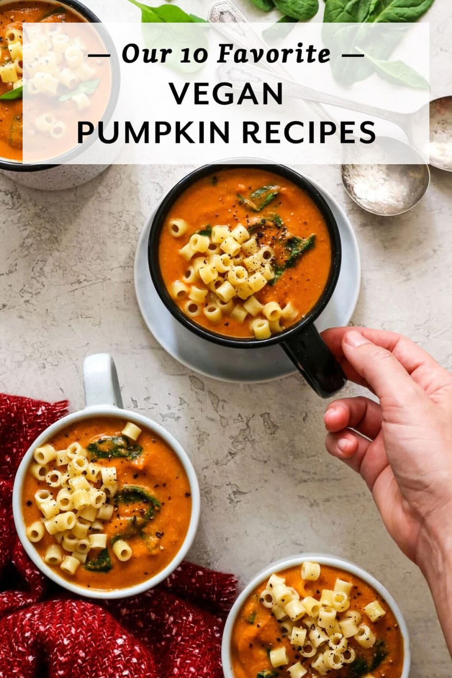 Our 10 Favorite Vegan Pumpkin Recipes Recipe Well Vegan 8283