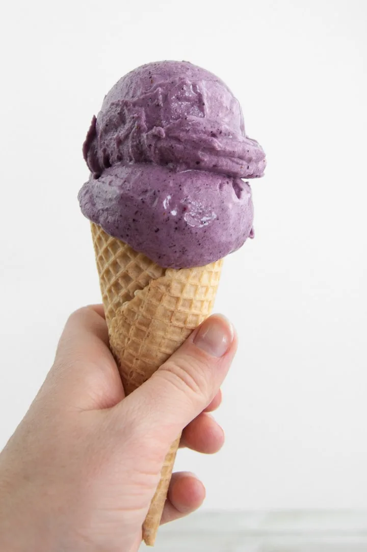 2 Ingredient Vegan Blueberry Ice Cream